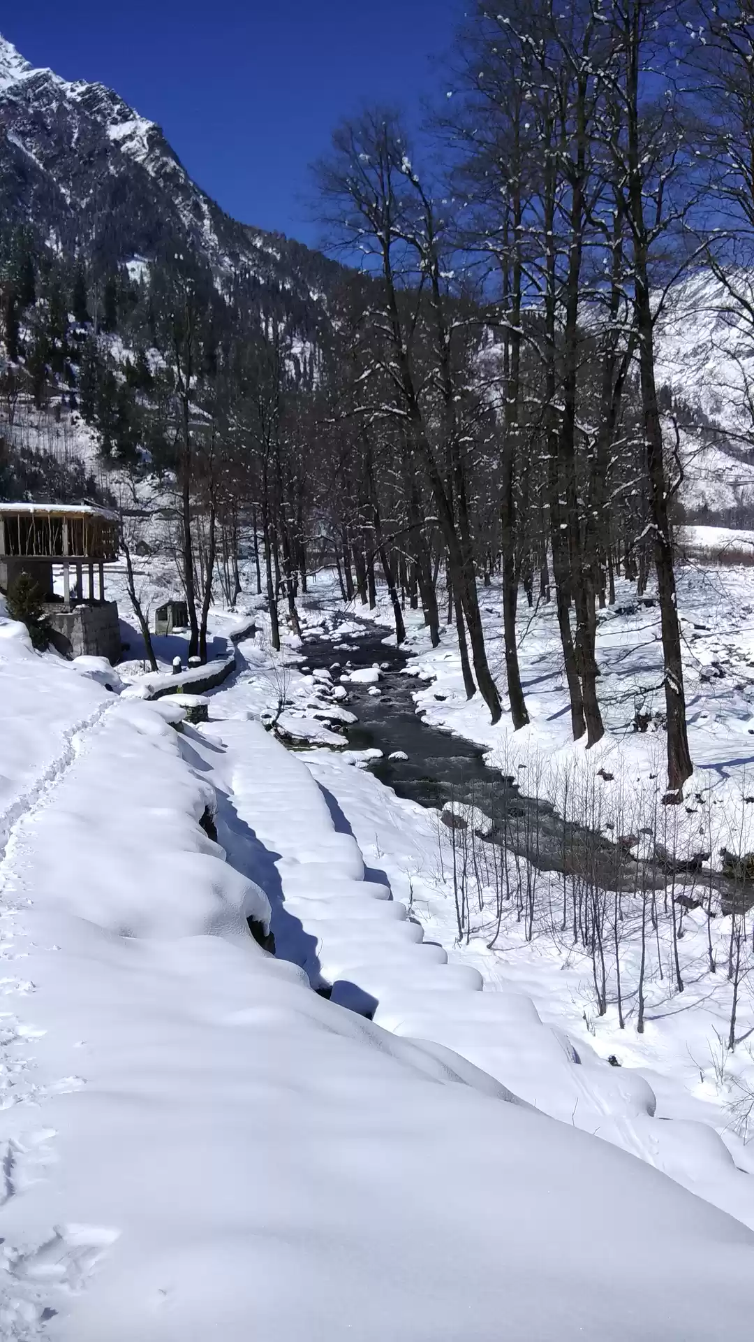 Photo of 24 hours in Manali j