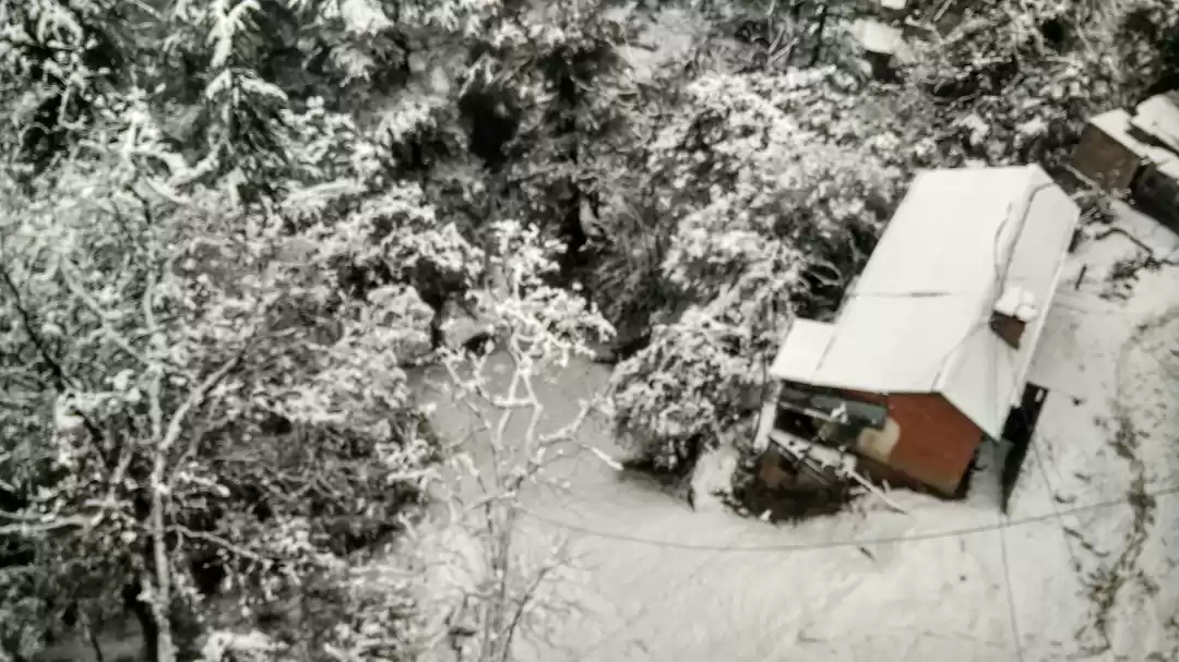 Photo of My first snowfall!! 