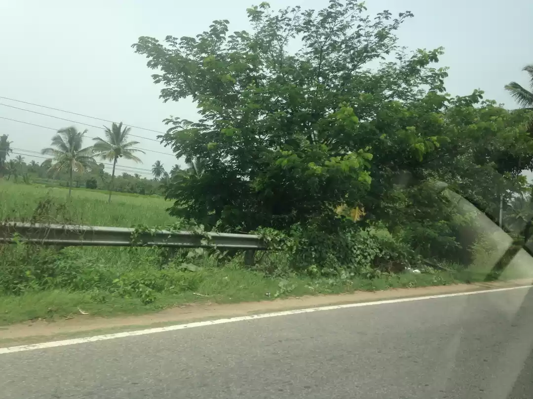 Photo of Coffee, divinity and