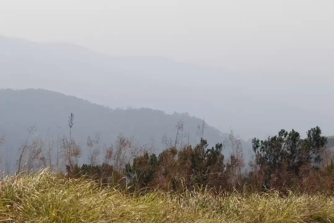 Photo of Bhagawathi Nature ca