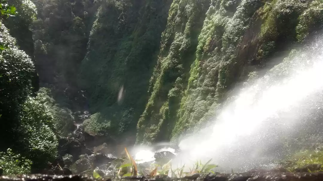 Photo of Guide to become loca