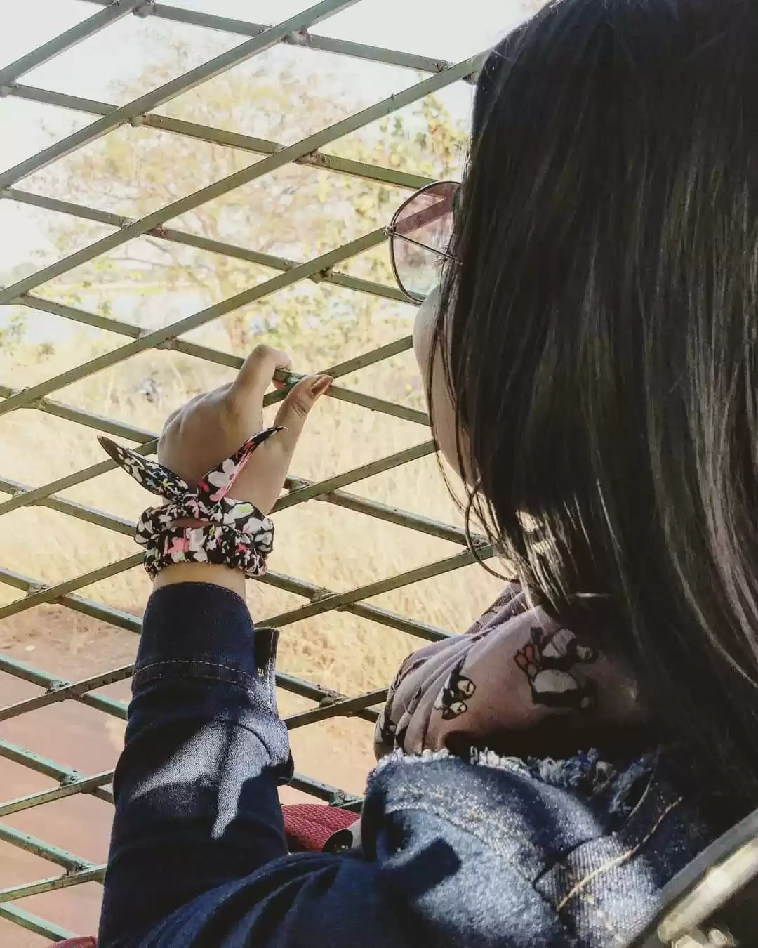 Photo of Jungle Safari, Naya 