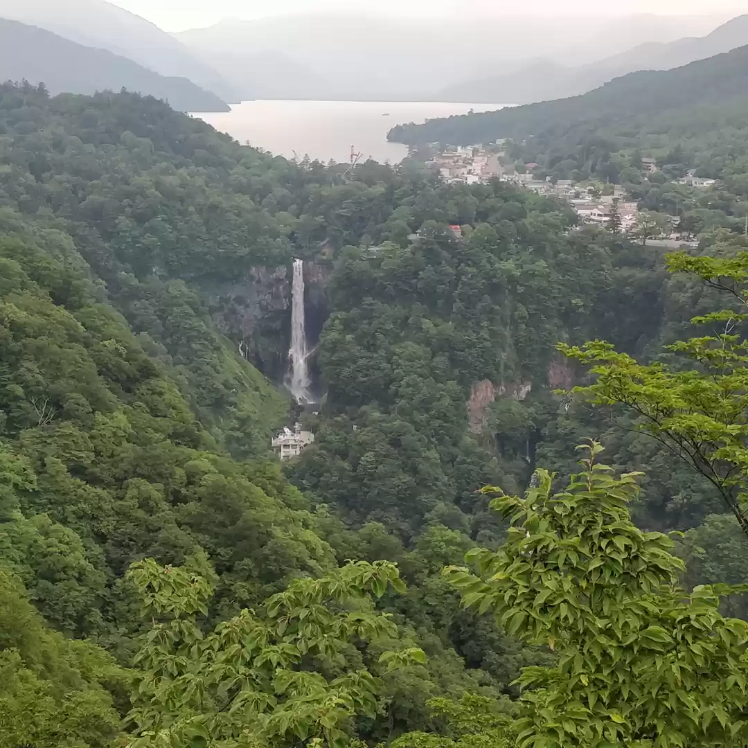 Photo of Marvellous Nikko