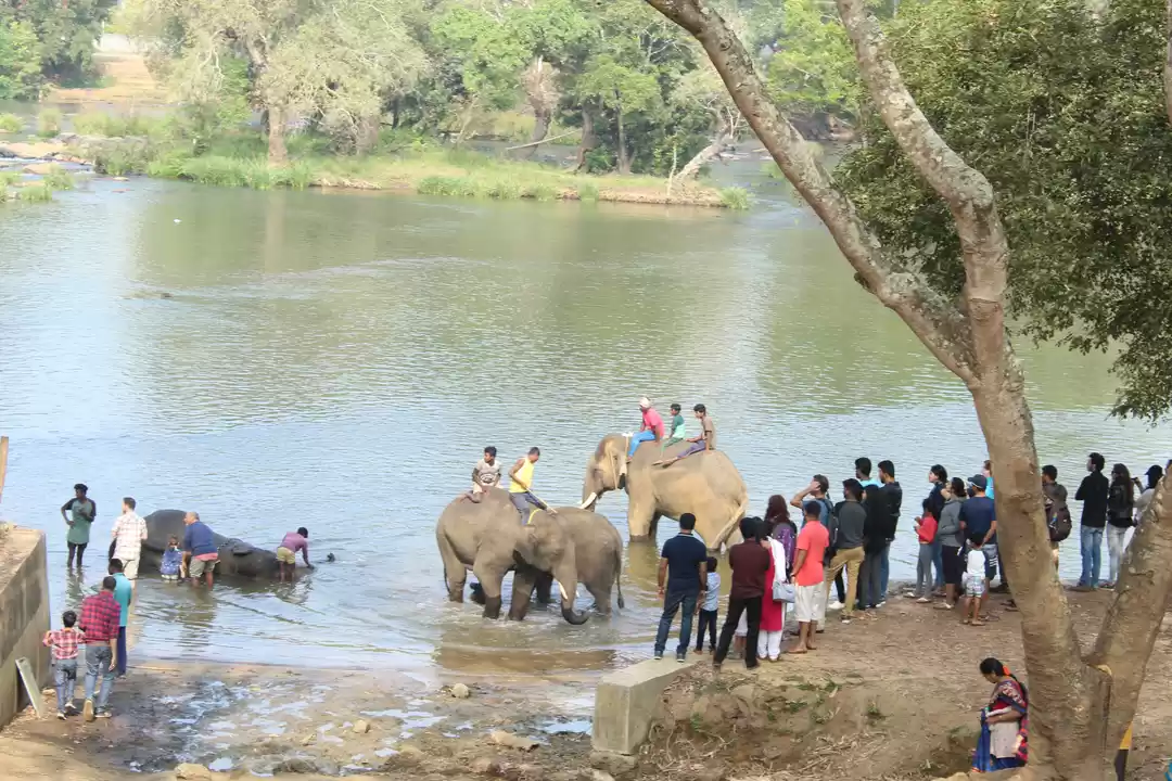 Photo of A Guide for Your Nex