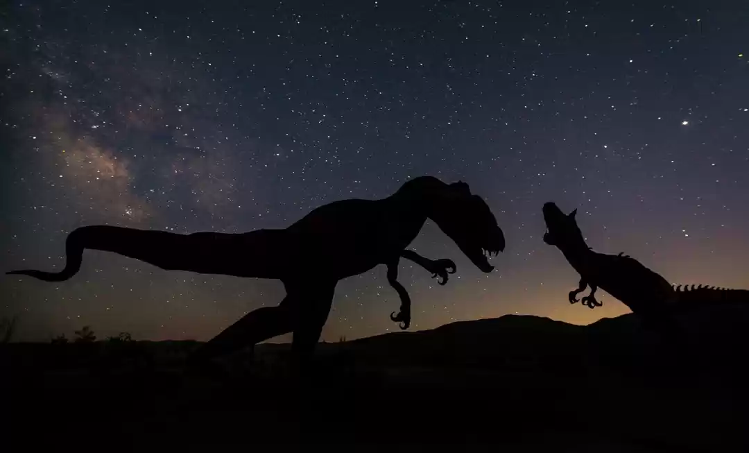 Photo of Wonders of Primeval 