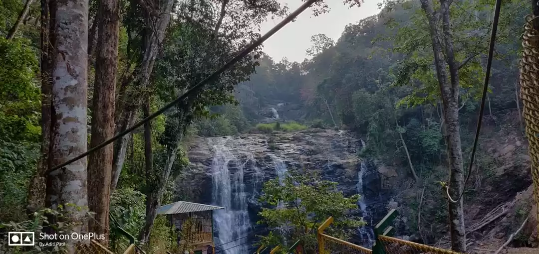 Photo of Traveller to Coorg