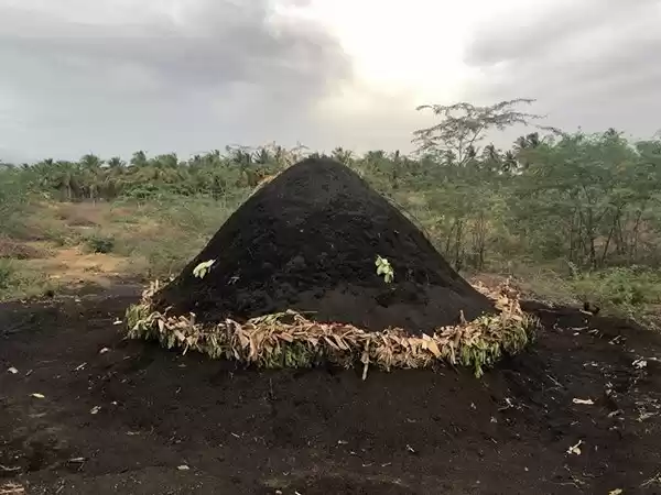 Photo of A Taste Of Rural Lif