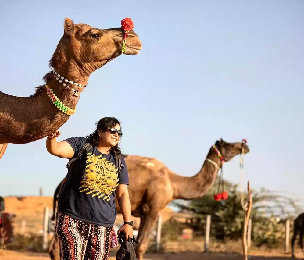 Photo of Pushkar Animal Fair 