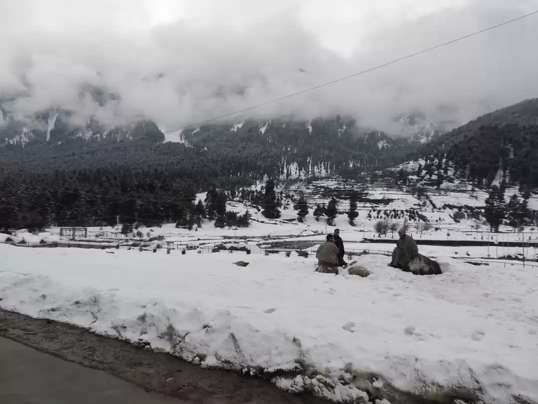 Photo of Where Can You Head T