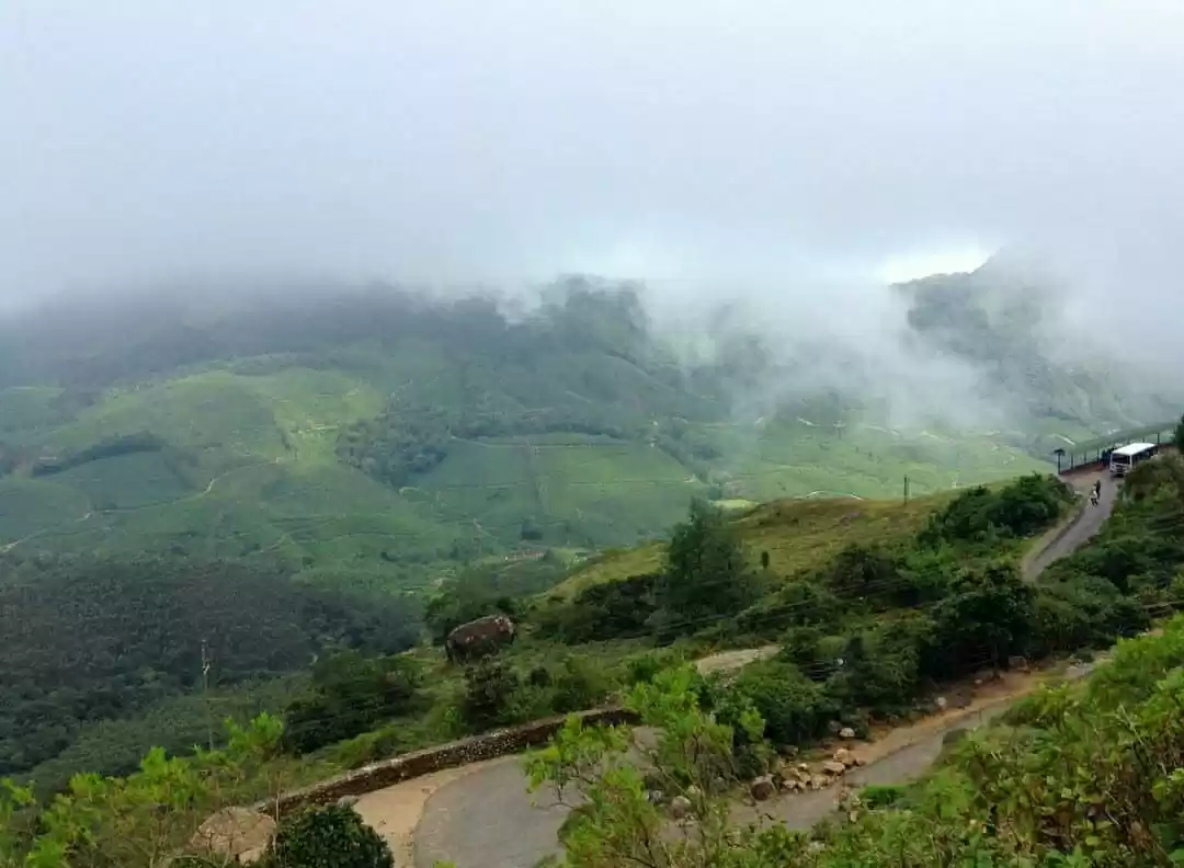 Photo of Munnar - The Hill St