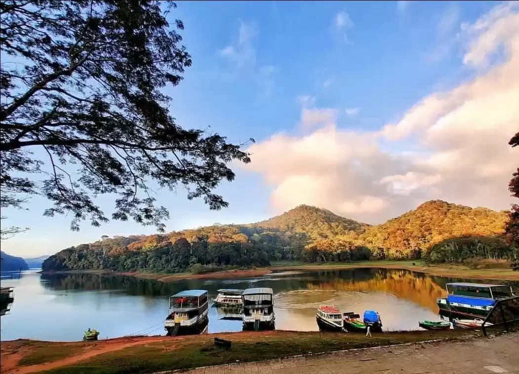 Photo of Thekkady- God’s farm