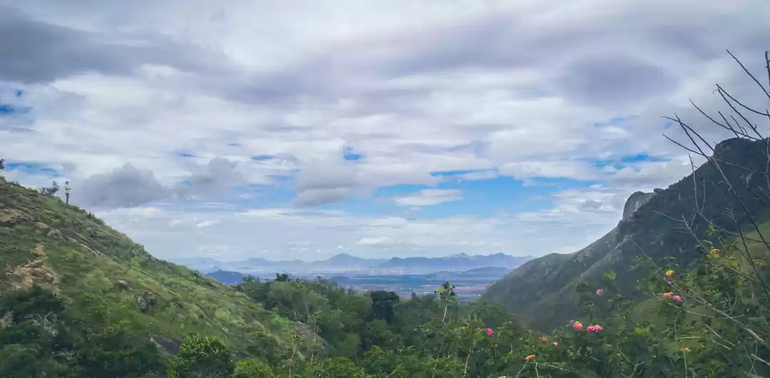 Photo of A Solo Ride to the L