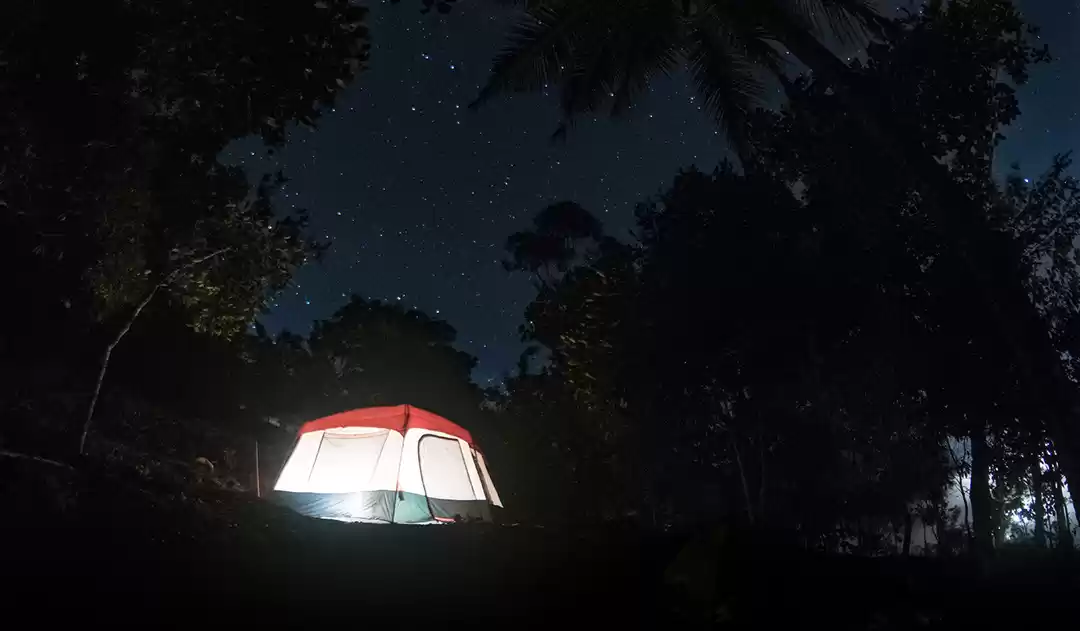 Photo of From a Star Hotel to