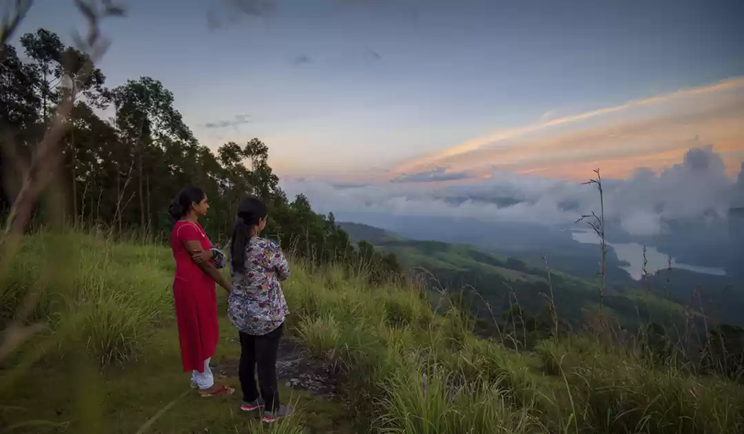 Photo of A Trip For Her. Stor