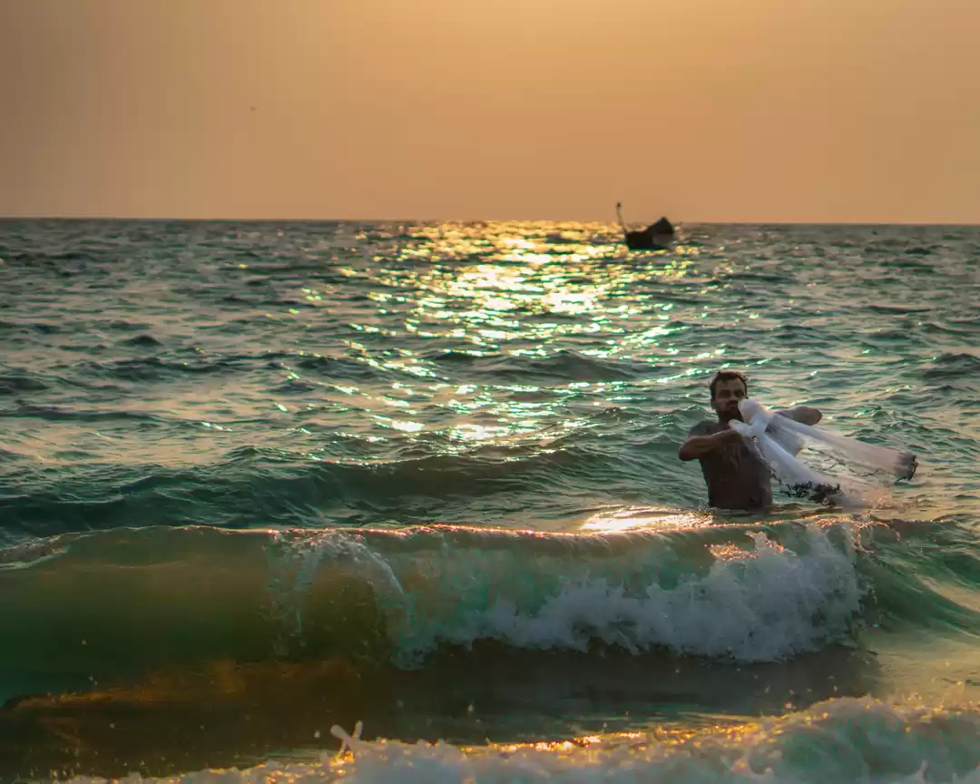 Photo of Catching the sun!