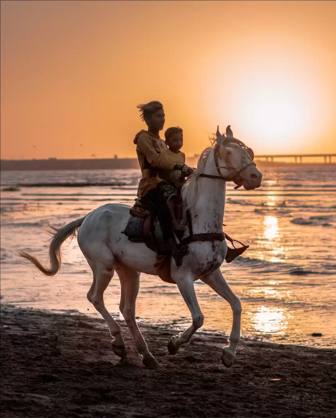 Photo of The Golden Hour