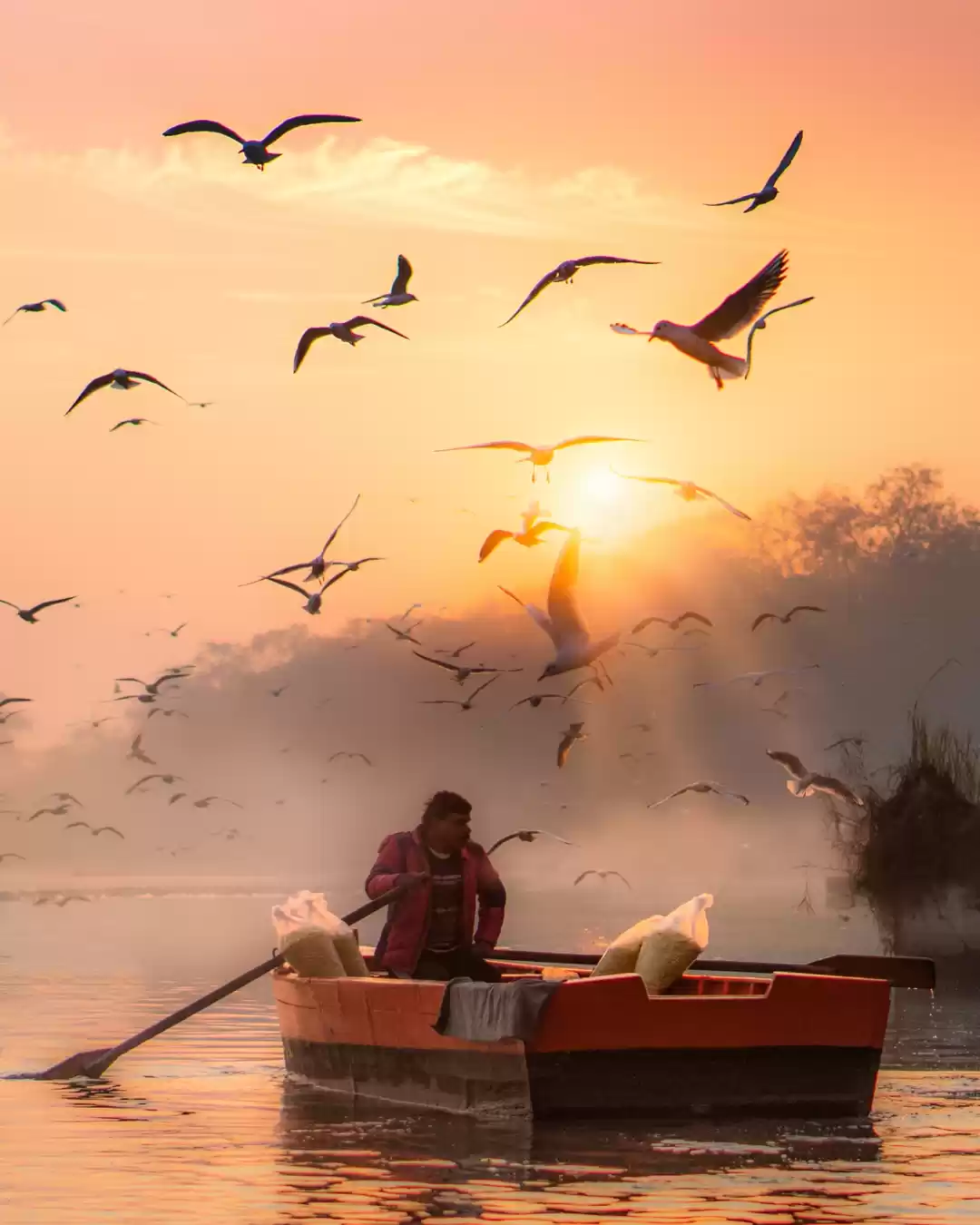 Photo of Peaceful Chaos