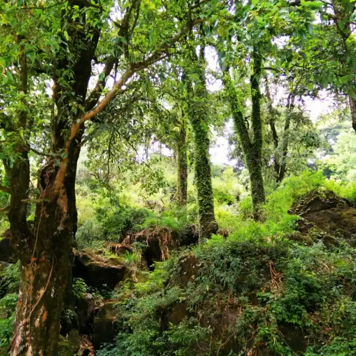 Photo of Weekend Escape to Na