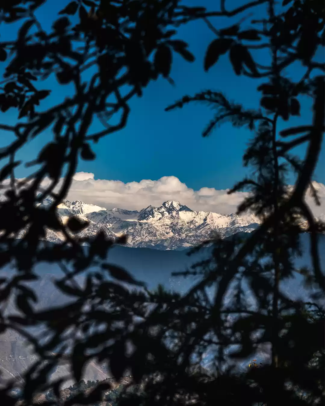 Photo of Journey to the wonde