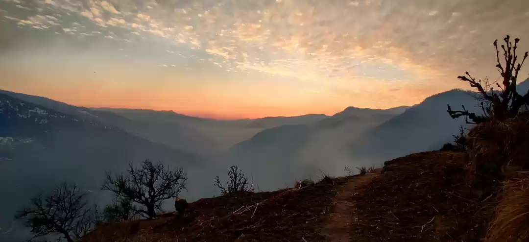 Photo of Free Travel ?