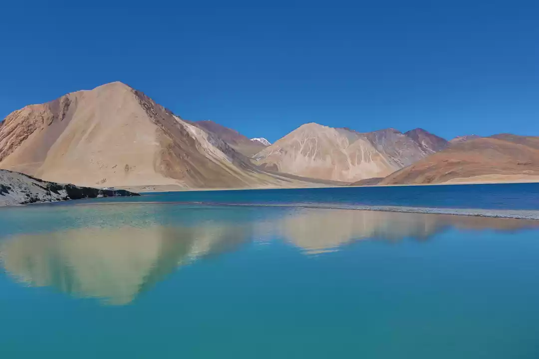 Photo of The ultimate guide f