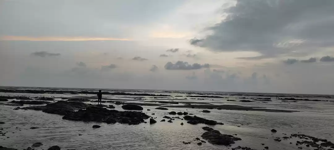 Photo of An evening at devka 