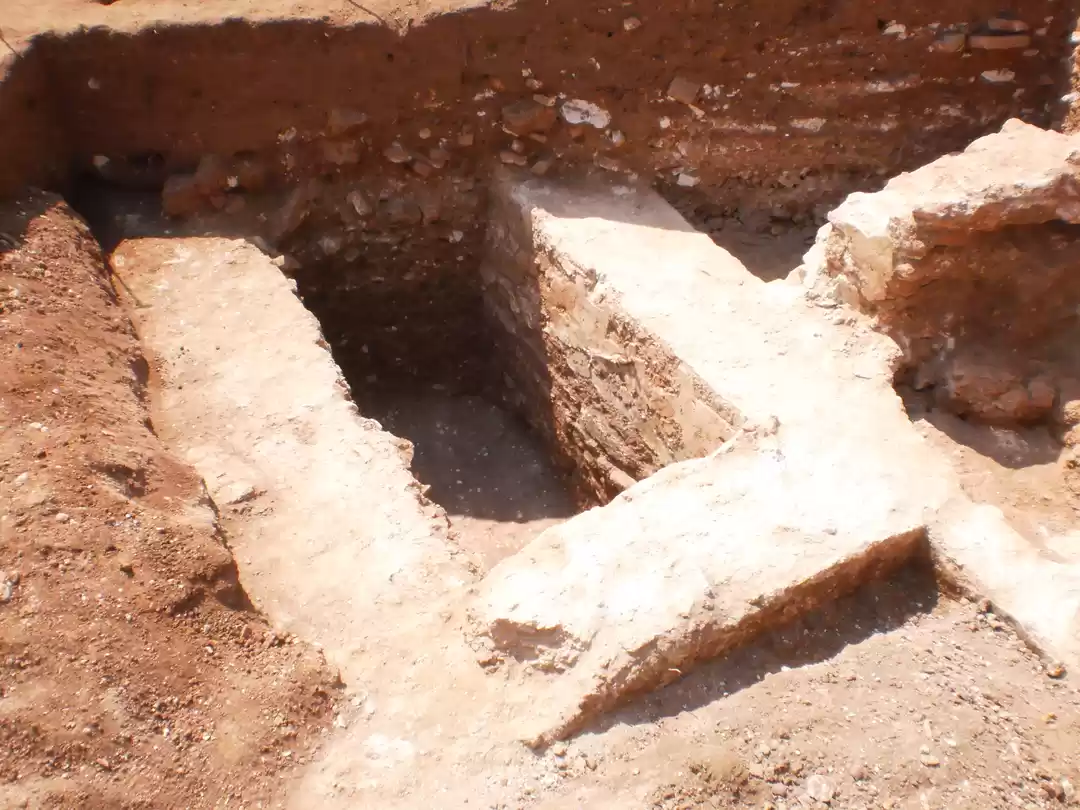 Photo of A trip to the back-f