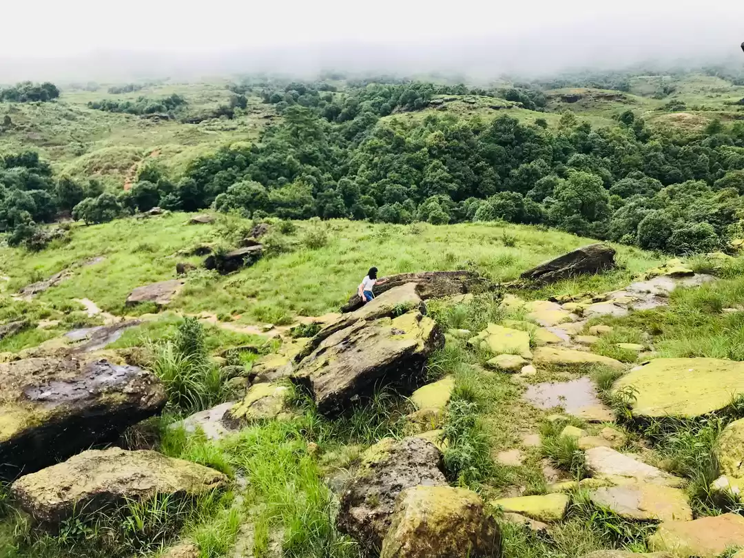 Photo of Syntung Village Megh