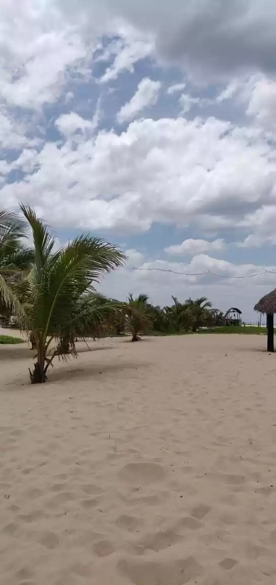 Photo of Attractive sands