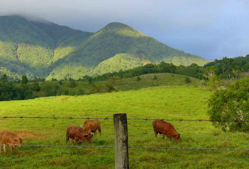 Bangalore To Hosur Distance By Road Just An Hour Away From Bangalore, People Call This Town Little England. -  Tripoto