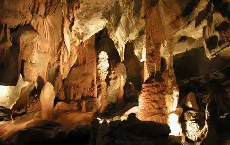 Photo of Meghalaya Tour: Maws