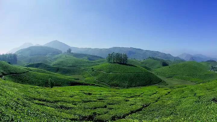 Photo of Munnar: The Heaven