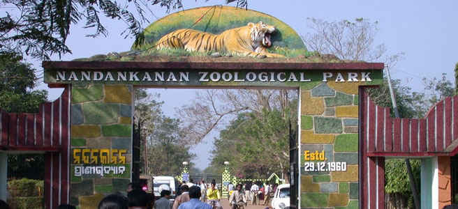Nandan Kanan Zoo Odisha Tripoto Well you will see him in this episode.