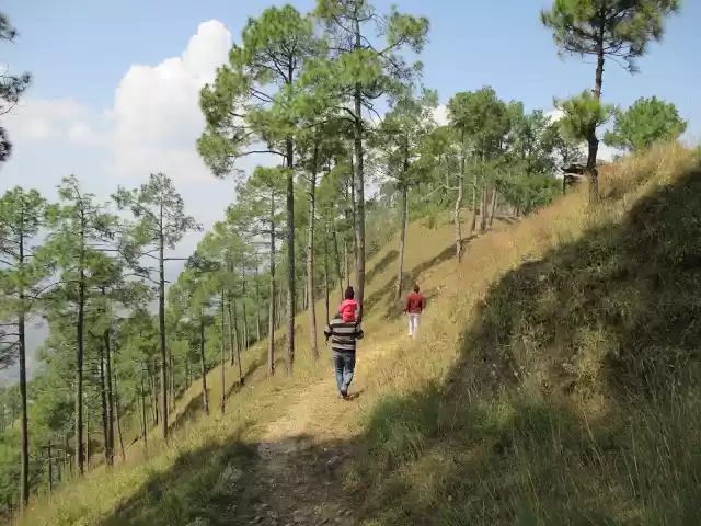 Photo of Almora:An Introducti