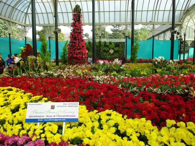 Photo of Lal Bag Flower Show,