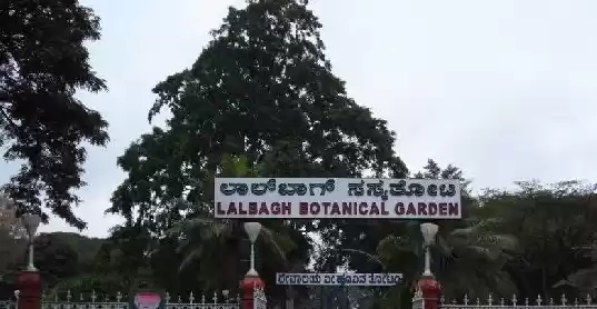 Photo of Natural Beauty of La