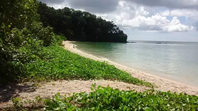 Photo of Corbyn's Cove Beach,