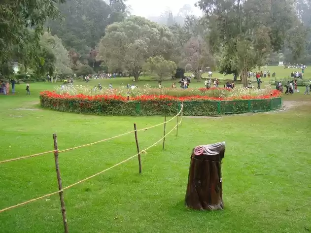 Photo of Ooty ,The Red hills
