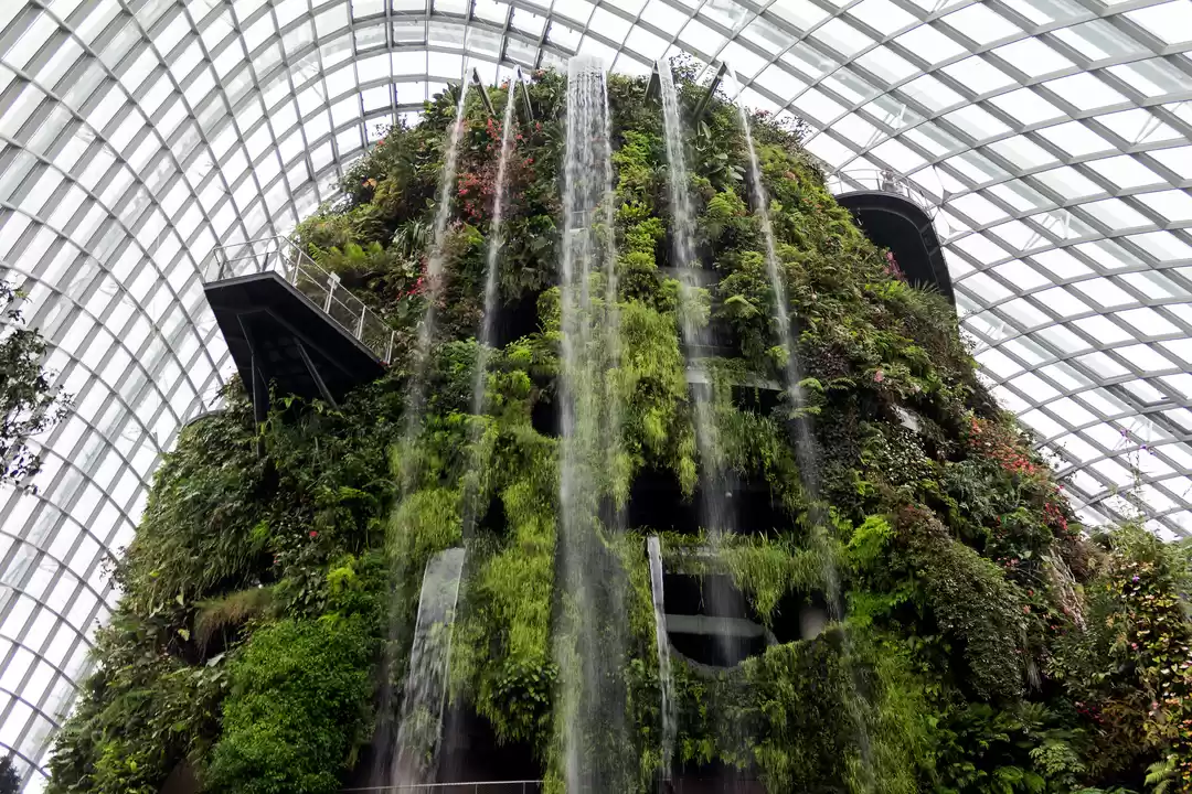 Photo of Gardens by the Bay, 