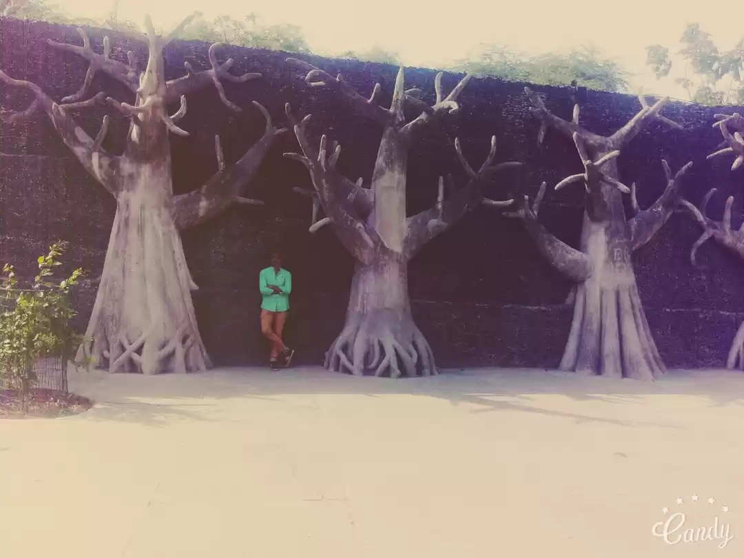 Photo of Rock garden Chandiga