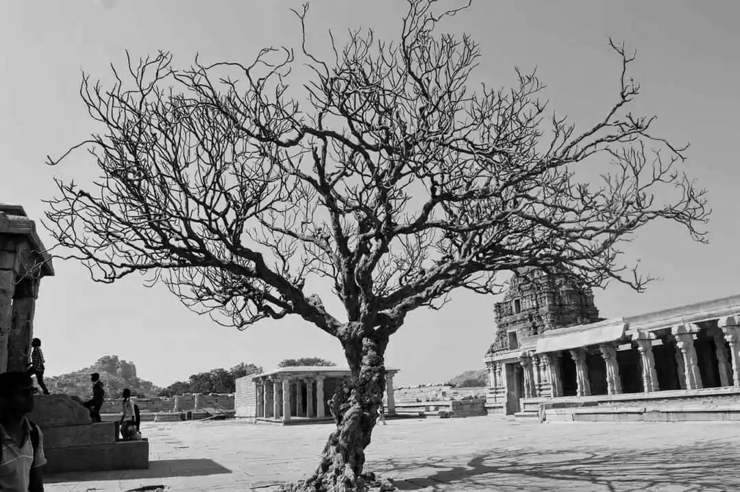 Photo of #hampi#templetown#so