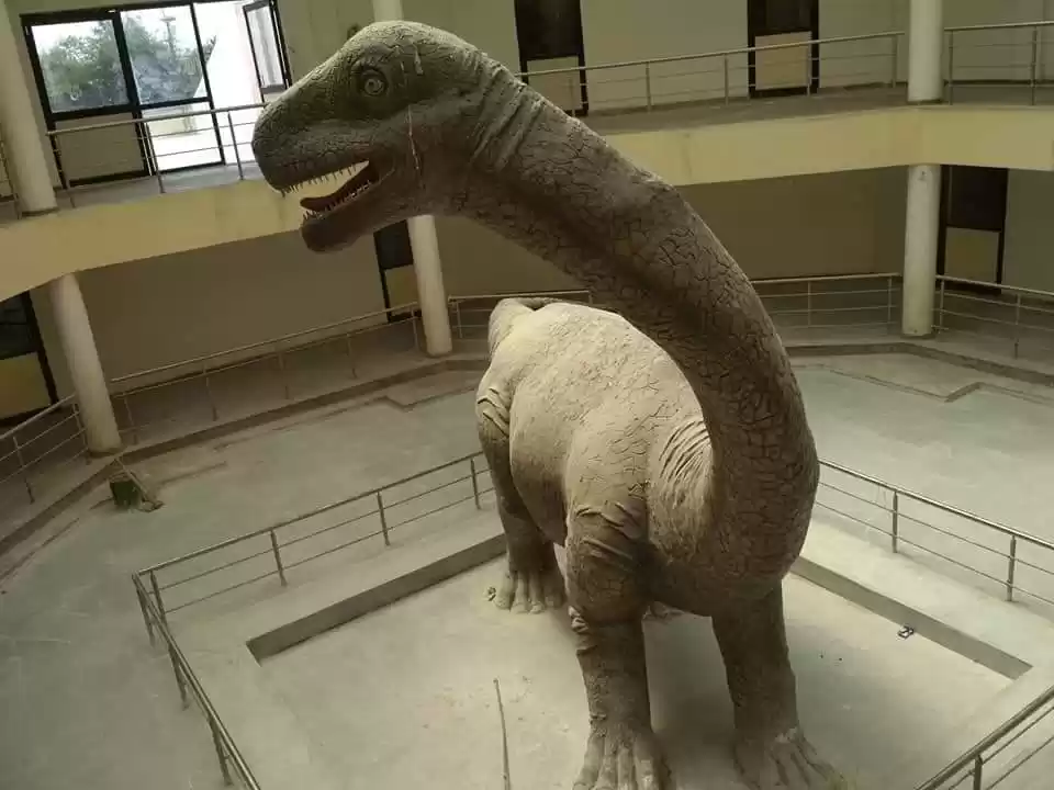 Photo of Dinosaur fossil par