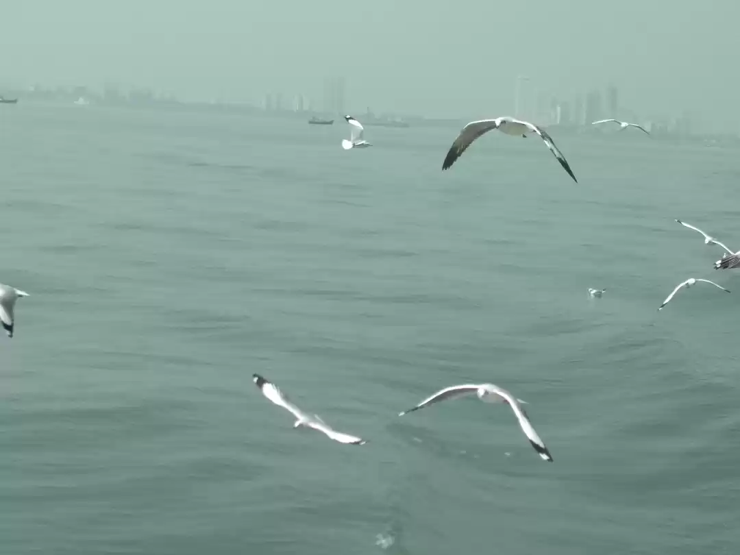 Photo of Weekend gateway from