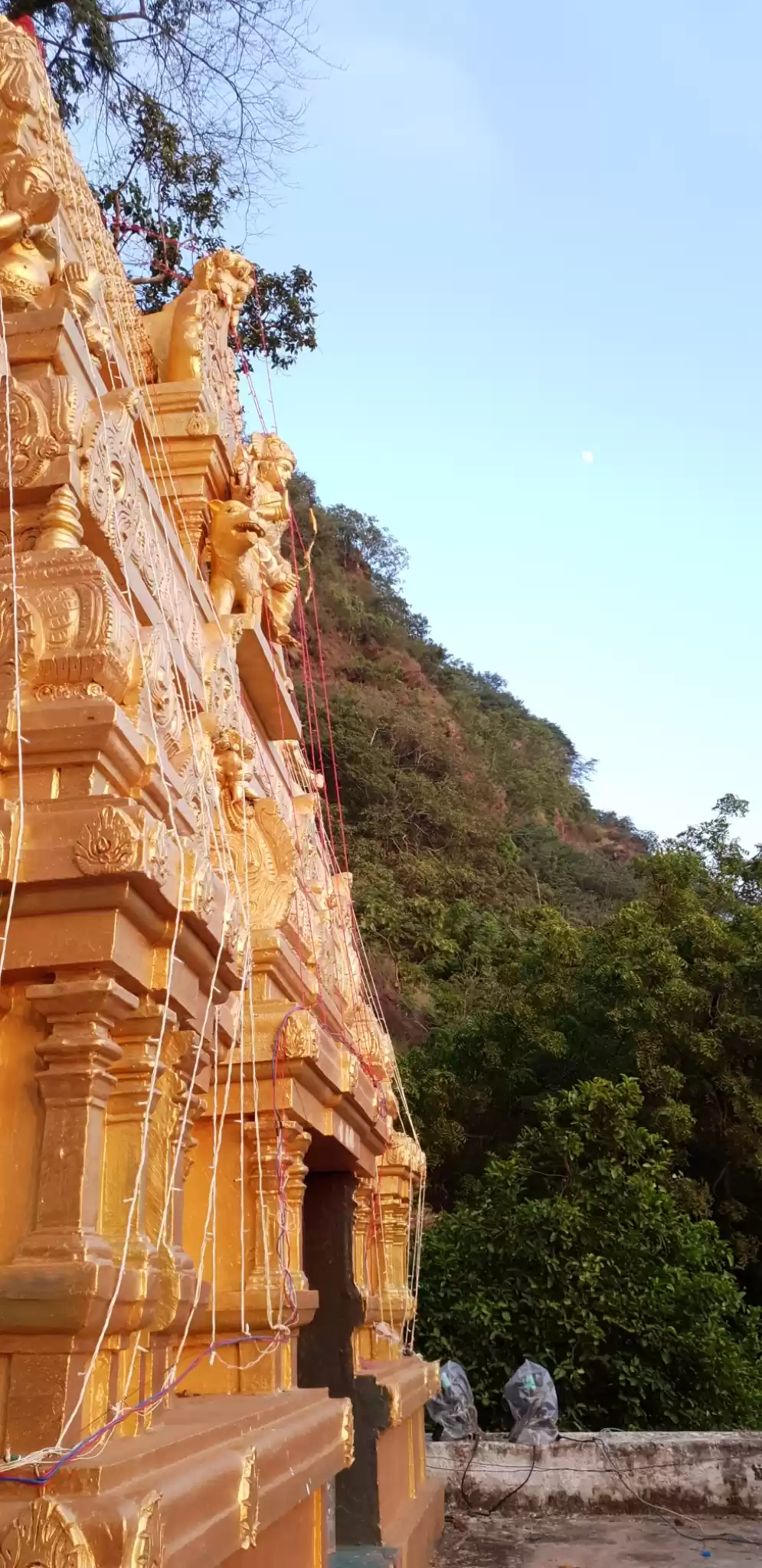 Photo of Durga Matha on her l