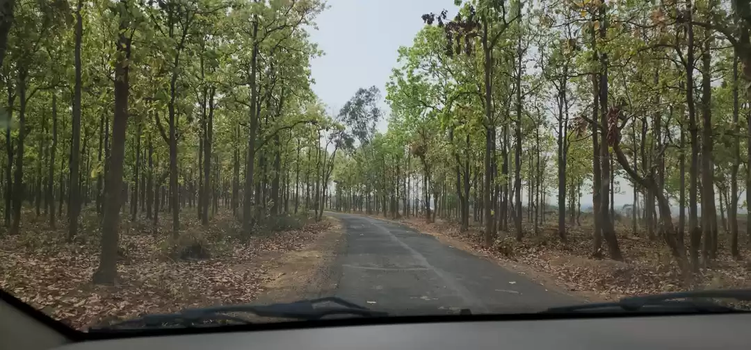 Photo of Santiniketan: Rabind