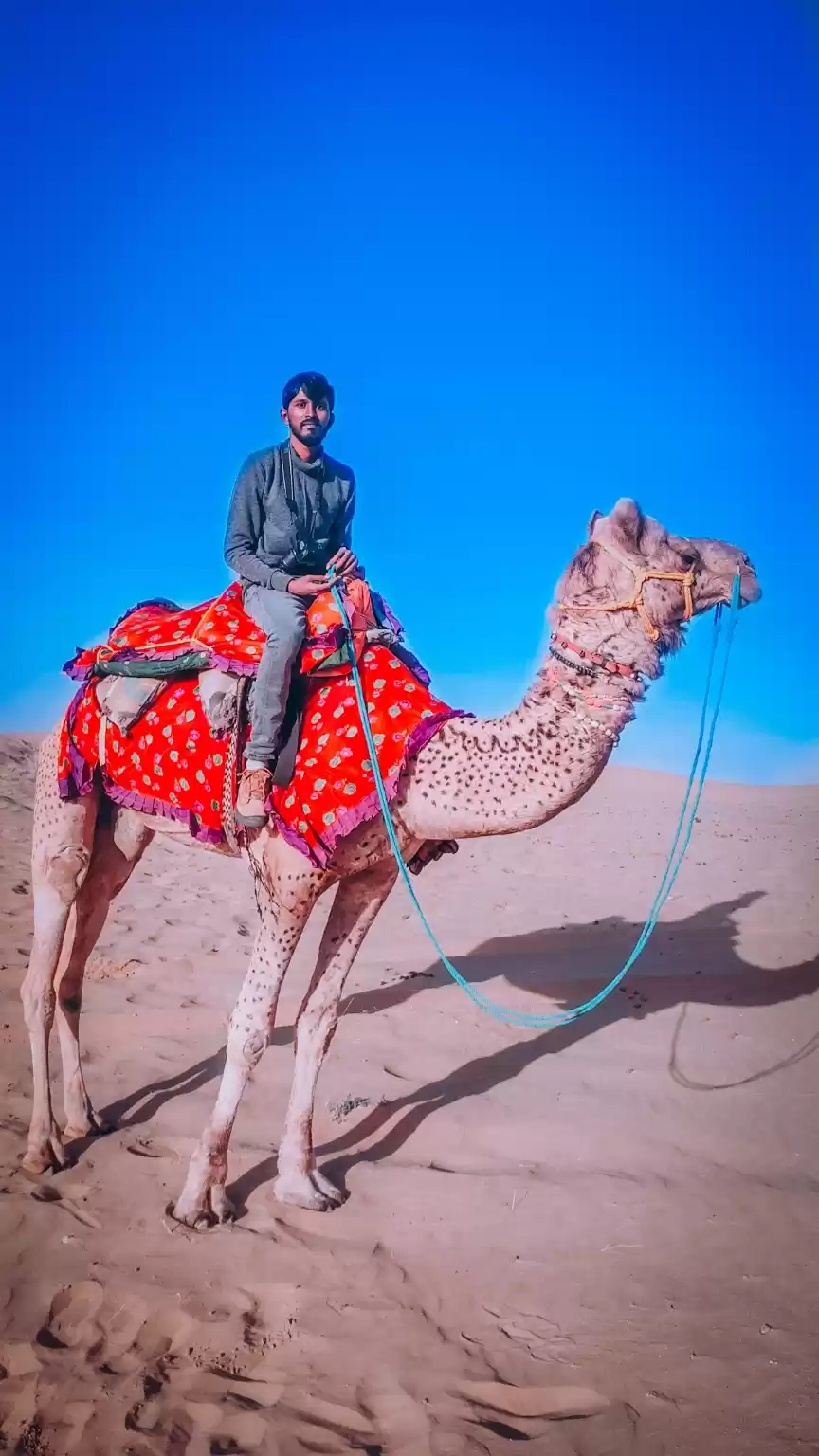 Photo of Camel safari