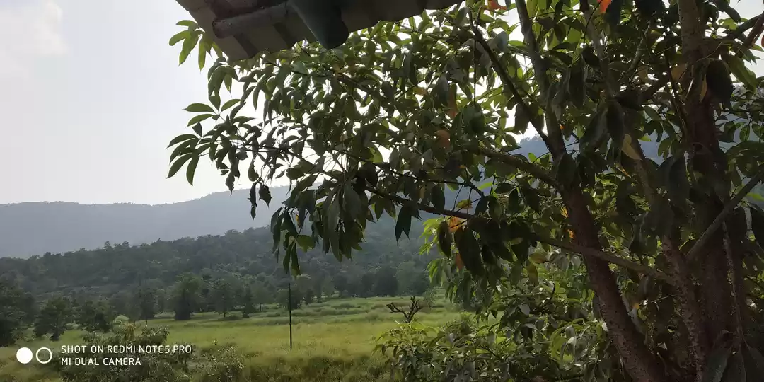 Photo of Tunnels and whistles