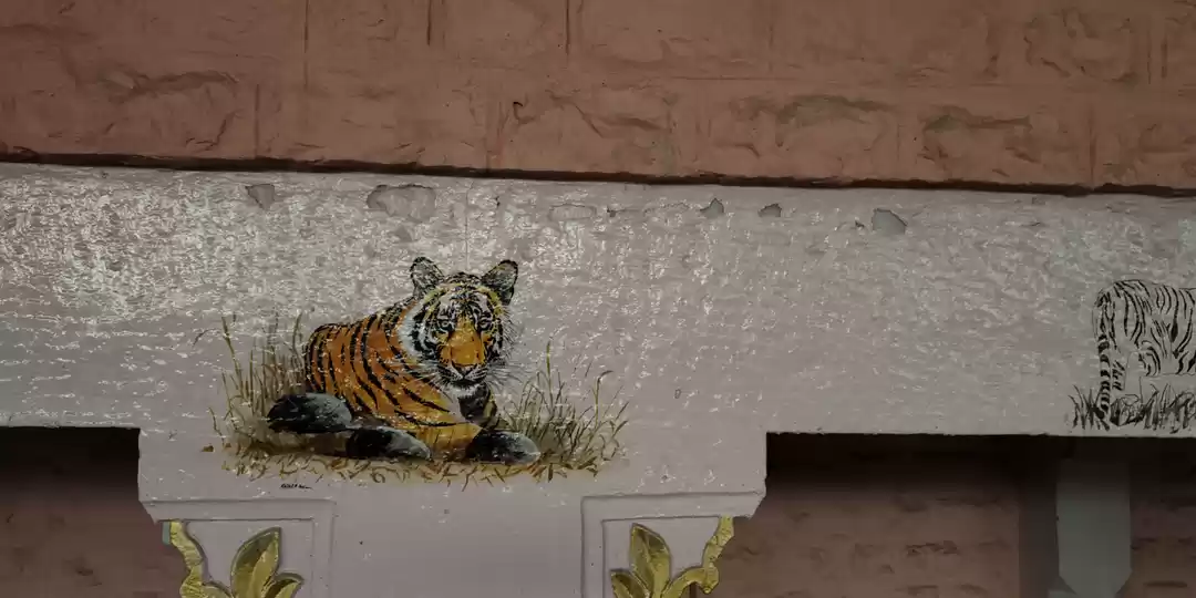 Photo of रणथंभौर जंगल सफारी औ