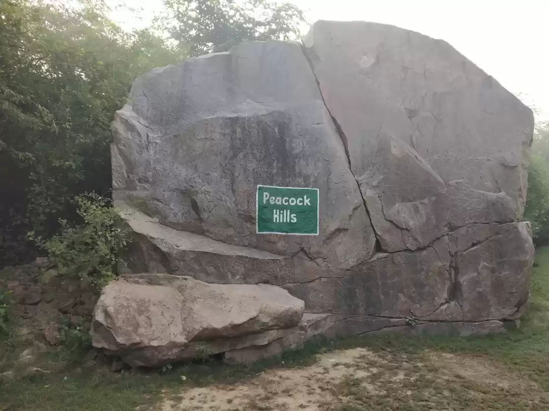 Photo of Sanjay Van - A City 