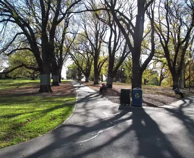 Photo of In and Around Melbou